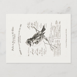 Fransk Music Salon Bird Script-vykort Vykort