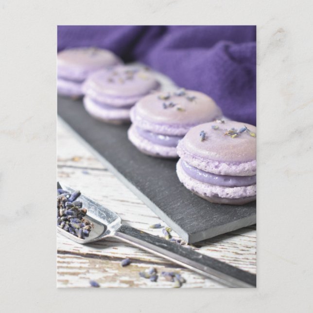 Fransk Pastry Lavender Macaron Cookies Vykort (Framsida)