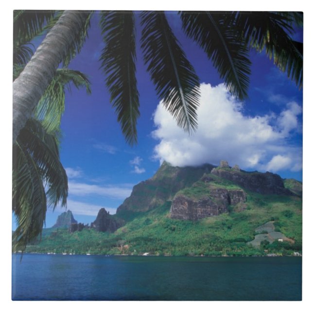 Fransk Polynesien, Moorea. Cooks Bay. Grönt Kakelplatta (Framsidan)