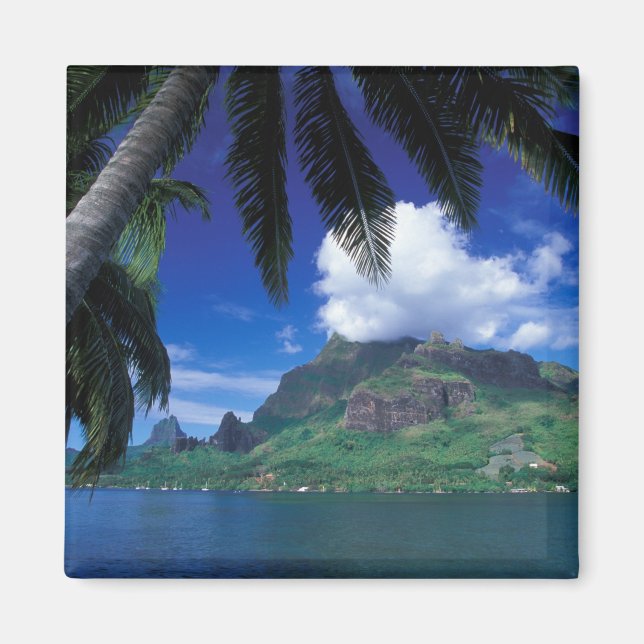 Fransk Polynesien, Moorea. Cooks Bay. Grönt Magnet (Framsidan)