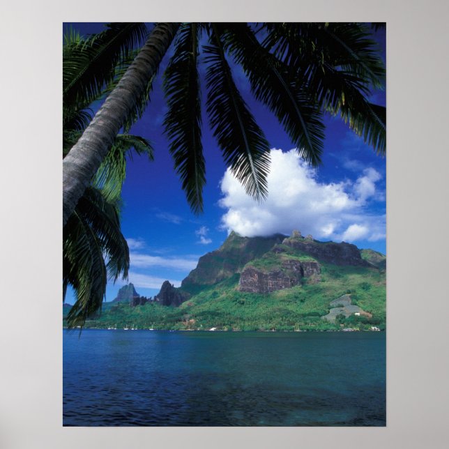 Fransk Polynesien, Moorea. Cooks Bay. Grönt Poster (Framsidan)
