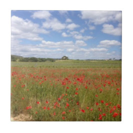 Fransk Red Poppies och Blå himmel Kakelplatta