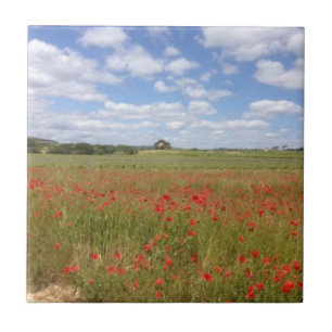 Fransk Red Poppies och Blå himmel Kakelplatta