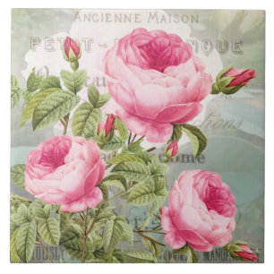 Fransk Redoute Rosa ros Ceramic Tile Kakelplatta