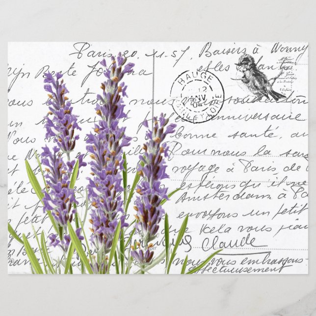 Fransk Script Vintage Lavender Bird Postcard (Framsida)
