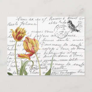 Fransk Script Vintage Tulip Bird-vykort Vykort
