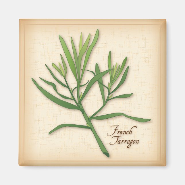 Fransk Tarragon Herb Magnet (Framsidan)