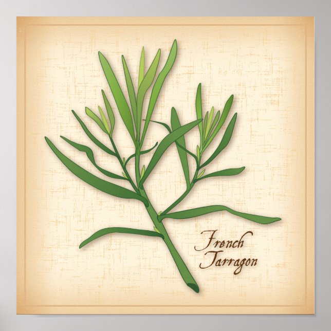 Fransk Tarragon Herb Poster (Framsidan)