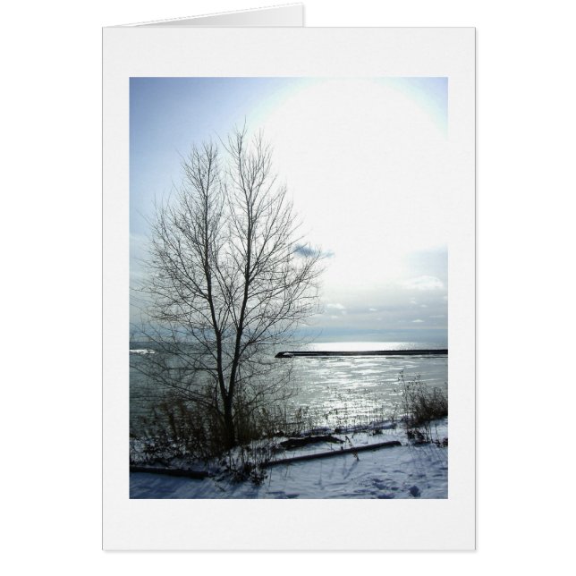 Fransk-tous nos meilleurs voeux hälsningskort (Framsidan)