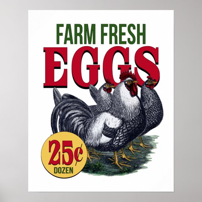 Fransk Tupp Farm Fresh Eggs Annons Print Poster (Framsidan)