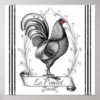 Fransk Tupp Le Poulet Poster