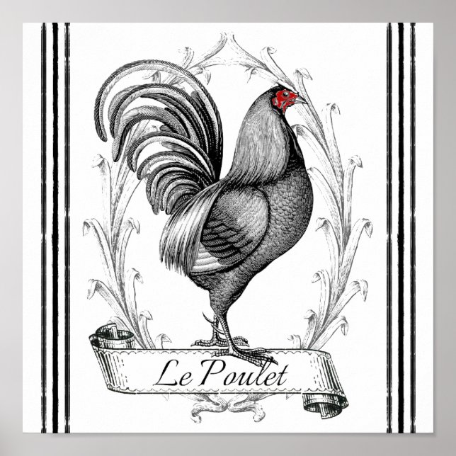 Fransk Tupp Le Poulet Poster (Framsidan)