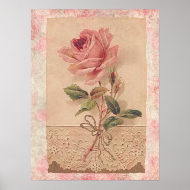 Fransk Victorian Rosa ros Poster (Framsidan)