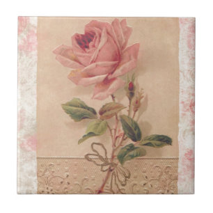 Fransk Victorianrosa ros Kakelplatta