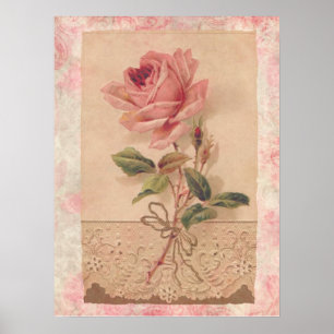Fransk Victorianrosa ros Poster