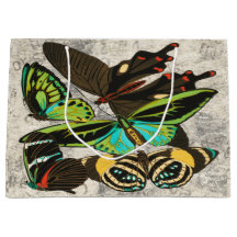 Fransk Vintage Butterflies Illustration-1