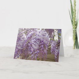 Fransk Wisteria Helgkort