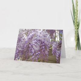 Fransk Wisteria Helgkort