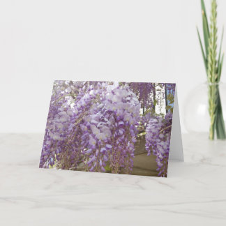 Fransk Wisteria Helgkort