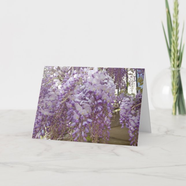 Fransk Wisteria Helgkort (Framsida)