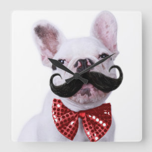 Franska Bull Dog Puppy with Mustache Fyrkantig Klocka