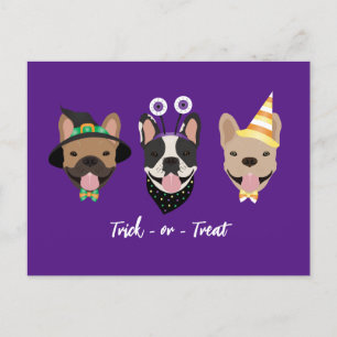 Franska Bulldog Halloween Kostymer Vykort