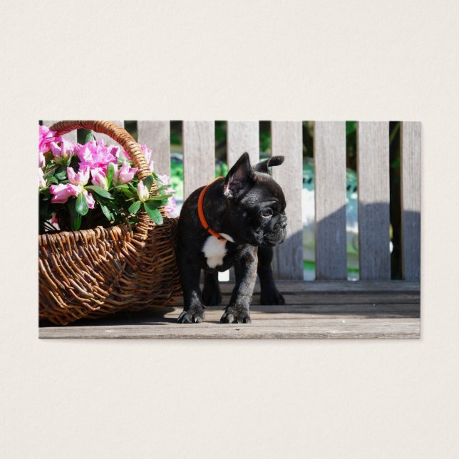 Franska Bulldog Visitkort (Framsidan)