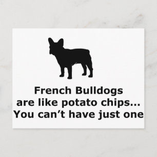 Franska Bulldoggar är som Potatischips Vykort