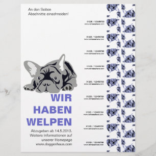 Franska Bulldoggar Flyer