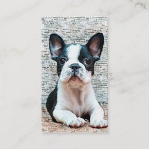 Franska bulldoggvisitkortar visitkort