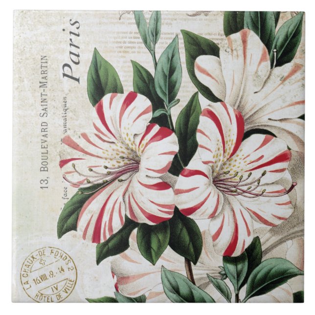 franska julamarylis för modern vintage kakelplatta (Framsidan)