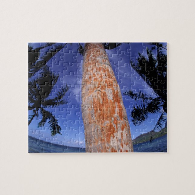 Franska Polynesien, Bora Bora, Palmer Pussel (Horisontell)