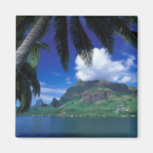 Franska Polynesien, Moorea. Cooks Bay. Grön Magnet