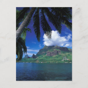 Franska Polynesien, Moorea. Cooks Bay. Grön Vykort