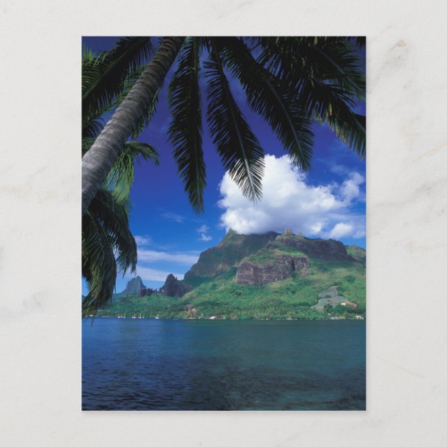 Franska Polynesien, Moorea. Cooks Bay. Grön Vykort (Framsida)