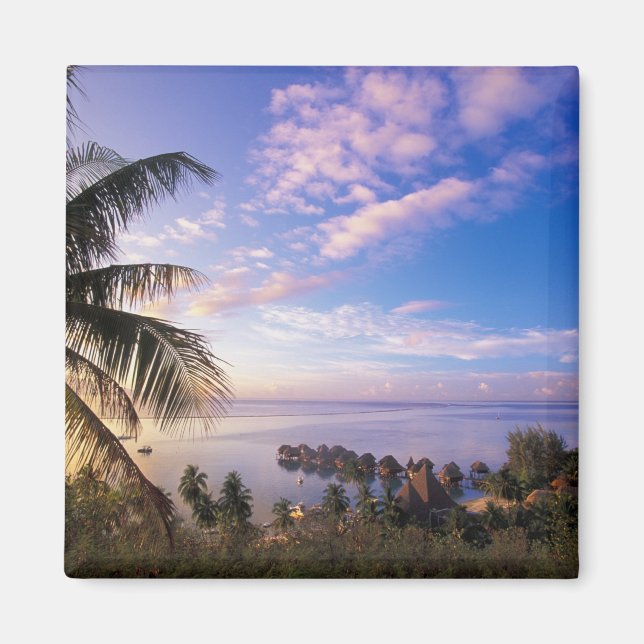 Franska Polynesien, Moorea. Utsikt över Baie de Magnet (Framsidan)