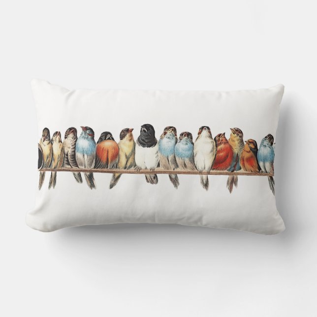 Fransken Fågelhus Land Dekorativ kudde (Framsida)