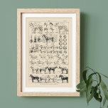 Fransken för vintage av hästraser och anatomdiagra poster<br><div class="desc">Vi skapat detta från en sida i vår antika pappra samling. Originalsidan kommer från bok ca 1920 med en noterad Fransk. Den illustrerar olika hästraser och aspekter av hästens anatomi. Texten är i Fransk. Den ursprungliga sidan är skriven med åldern, ge en fin patina som lägger till det gamla diagrammet....</div>