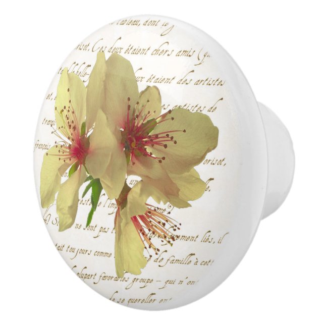 Franskens Blommar Drag ut Knopp (Höger)