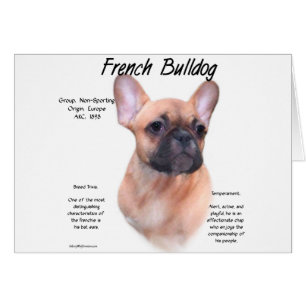 Franskens historikdesign för bulldog hälsningskort