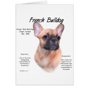 Franskens historikdesign för bulldog hälsningskort