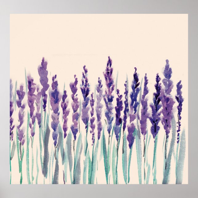Franskens lavander vattenfärg poster (Framsidan)