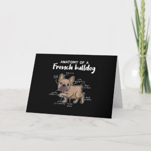 Franskies present Anatomi av en fransk bulldog p Kort