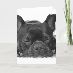 Franskt bulldogghälsningkort kort