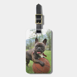 Franskt bulldoggmellanlägg ditt egna foto bagagebricka