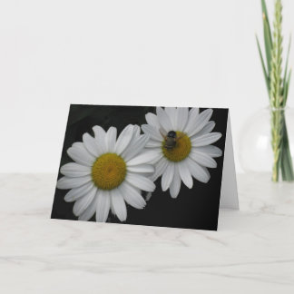 Franskt födelsedagkort, daisy och bi kort