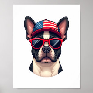 Fransman iförd USA:s färger (4) Poster