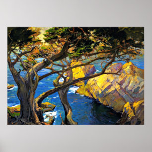 Franz Bischoff - Cleft-Born Träd, Monterey Poster
