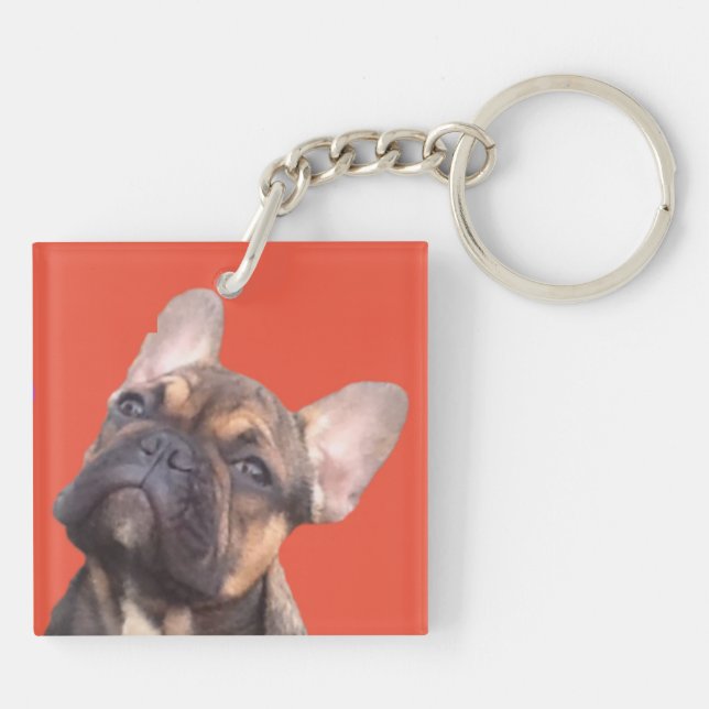 Französische Bulldogge (Baksidan)