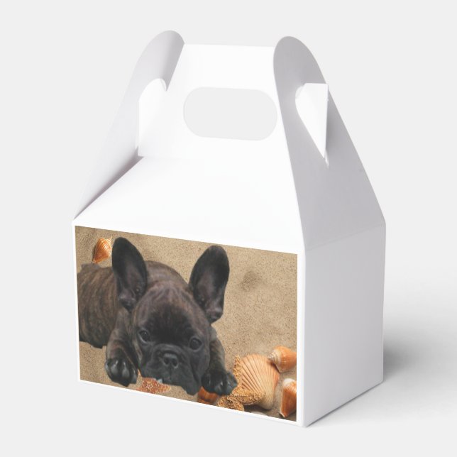 Französische Bulldogge am Strand French Bulldog Presentaskar (Baksidan Sidan)